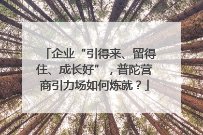 企业“引得来、留得住、成长好”，普陀营商引力场如何炼就？