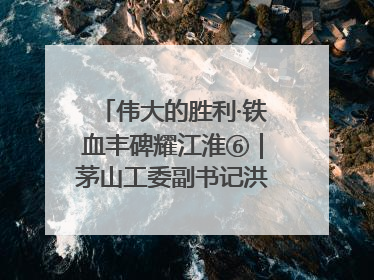伟大的胜利·铁血丰碑耀江淮⑥｜茅山工委副书记洪天诚的亲笔信