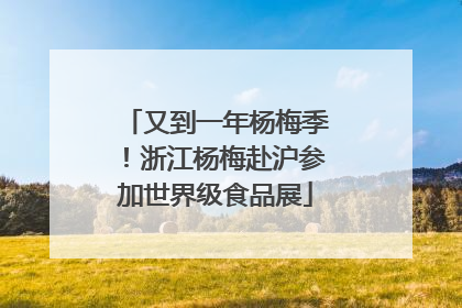 又到一年杨梅季！浙江杨梅赴沪参加世界级食品展