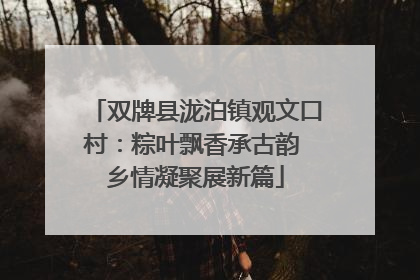双牌县泷泊镇观文口村：粽叶飘香承古韵 乡情凝聚展新篇