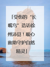 受伤的“长嘴鸟”造访徐州沛县！暖心救助守护自然精灵