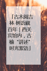 古木阅吉林 树语藏百年｜西关宾馆内，古榆“讲述”时光絮语