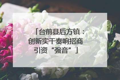 台前县后方镇：创新实干奏响招商引资“强音”