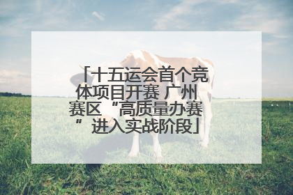 十五运会首个竞体项目开赛 广州赛区“高质量办赛”进入实战阶段