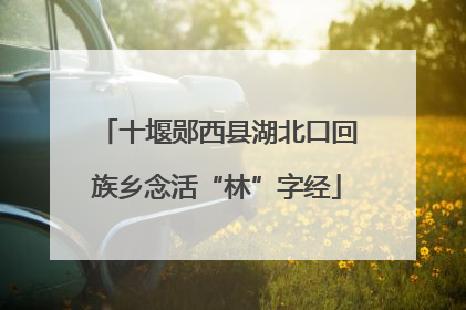 十堰郧西县湖北口回族乡念活“林”字经