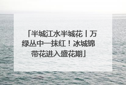 半城江水半城花丨万绿丛中一抹红！冰城锦带花进入盛花期