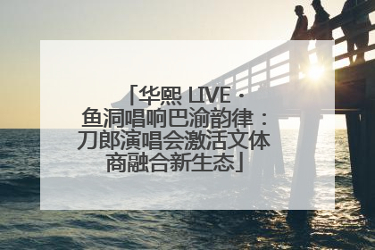 华熙 LIVE・鱼洞唱响巴渝韵律：刀郎演唱会激活文体商融合新生态