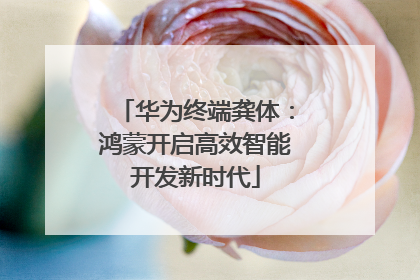 华为终端龚体：鸿蒙开启高效智能开发新时代
