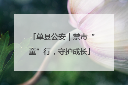 单县公安｜禁毒“童”行，守护成长