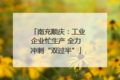 南充顺庆：工业企业忙生产 全力冲刺“双过半”