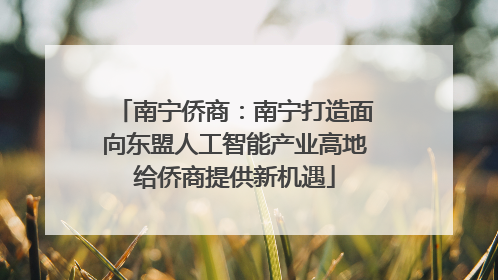 南宁侨商：南宁打造面向东盟人工智能产业高地给侨商提供新机遇