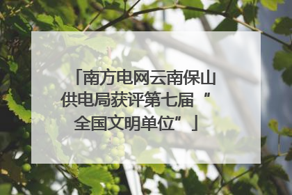 南方电网云南保山供电局获评第七届“全国文明单位”