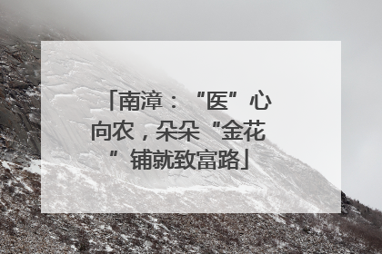 南漳：“医”心向农，朵朵“金花”铺就致富路