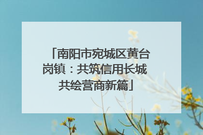 南阳市宛城区黄台岗镇：共筑信用长城 共绘营商新篇