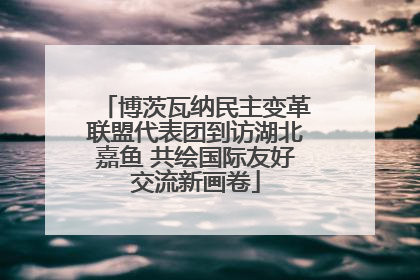 博茨瓦纳民主变革联盟代表团到访湖北嘉鱼 共绘国际友好交流新画卷