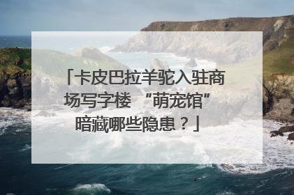 卡皮巴拉羊驼入驻商场写字楼 “萌宠馆”暗藏哪些隐患？