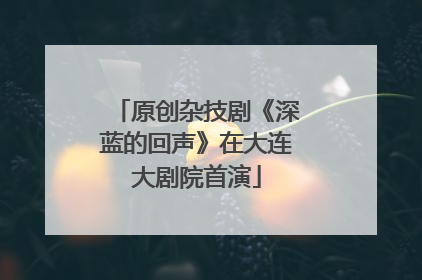 原创杂技剧《深蓝的回声》在大连大剧院首演