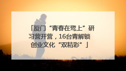 厦门“青春在鹭上”研习营开营，16台青解锁创业文化“双精彩”