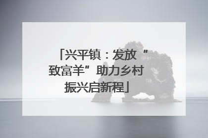 兴平镇：发放“致富羊”助力乡村振兴启新程