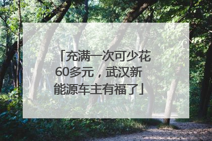 充满一次可少花60多元，武汉新能源车主有福了