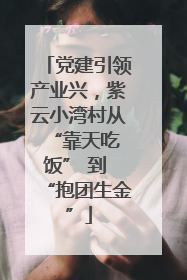 党建引领产业兴，紫云小湾村从 “靠天吃饭” 到 “抱团生金”