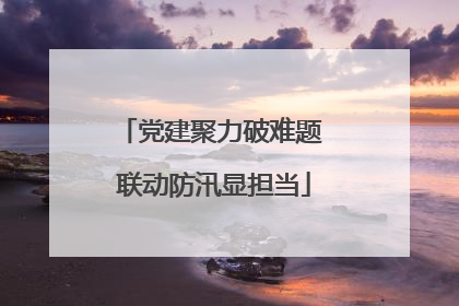 党建聚力破难题 联动防汛显担当