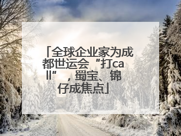 全球企业家为成都世运会“打call”，蜀宝、锦仔成焦点