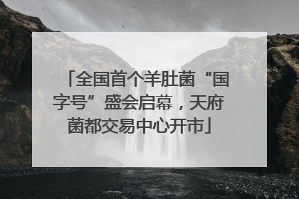 全国首个羊肚菌“国字号”盛会启幕，天府菌都交易中心开市