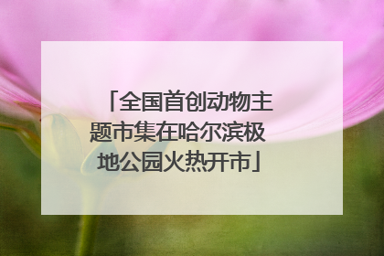 全国首创动物主题市集在哈尔滨极地公园火热开市
