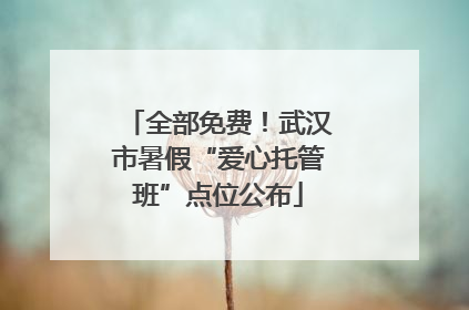 全部免费！武汉市暑假“爱心托管班”点位公布