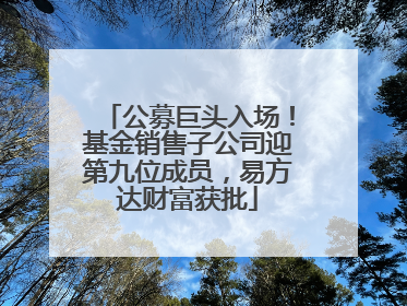 公募巨头入场！基金销售子公司迎第九位成员，易方达财富获批