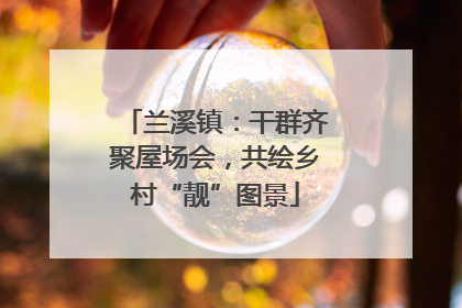 兰溪镇：干群齐聚屋场会，共绘乡村“靓”图景