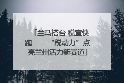 兰马搭台 税宣快跑——“税动力”点亮兰州活力新赛道