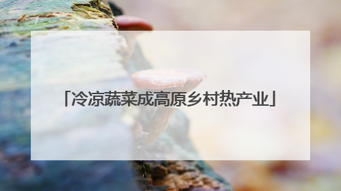 冷凉蔬菜成高原乡村热产业
