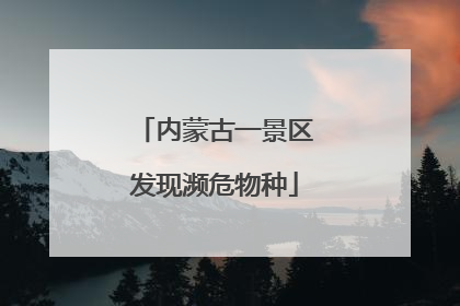 内蒙古一景区发现濒危物种