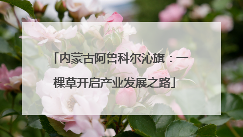 内蒙古阿鲁科尔沁旗：一棵草开启产业发展之路