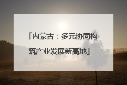 内蒙古：多元协同构筑产业发展新高地