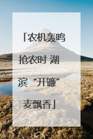 农机轰鸣抢农时 湖滨“开镰”麦飘香