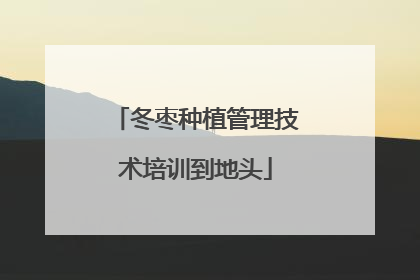 冬枣种植管理技术培训到地头