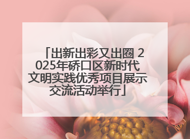 出新出彩又出圈 2025年硚口区新时代文明实践优秀项目展示交流活动举行