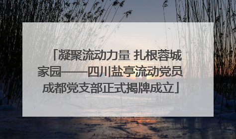 凝聚流动力量 扎根蓉城家园——四川盐亭流动党员成都党支部正式揭牌成立