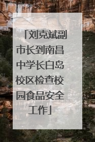刘克斌副市长到南昌中学长白岛校区检查校园食品安全工作