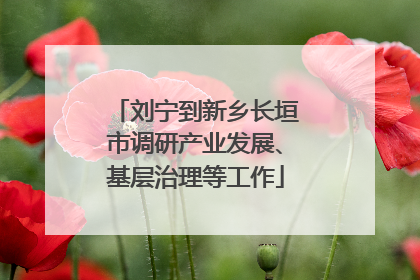 刘宁到新乡长垣市调研产业发展、基层治理等工作