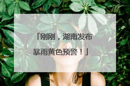 刚刚，湖南发布暴雨黄色预警！