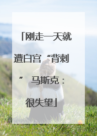 刚走一天就遭白宫“背刺” 马斯克：很失望