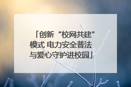 创新“校网共建”模式 电力安全普法与爱心守护进校园