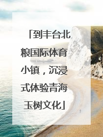 到丰台北粮国际体育小镇，沉浸式体验青海玉树文化