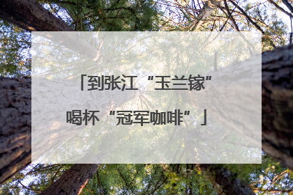 到张江“玉兰镓”喝杯“冠军咖啡”