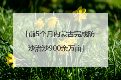前5个月内蒙古完成防沙治沙900余万亩