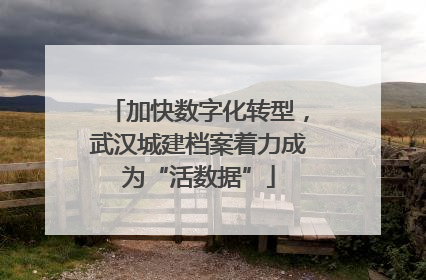 加快数字化转型，武汉城建档案着力成为“活数据”